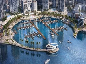 پل مشاهده (The Viewing Point)