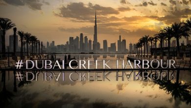 دبی کرک هاربور